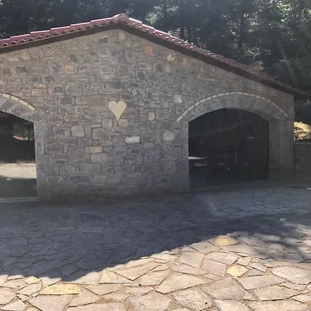 Villazia The Highest *