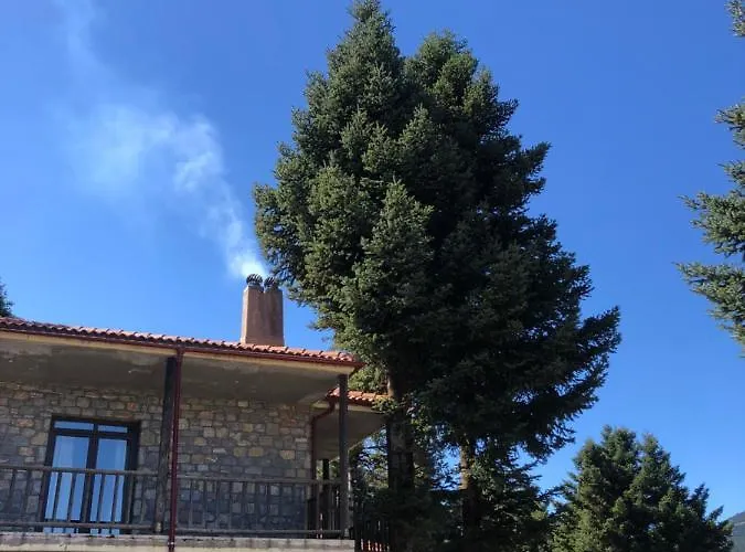 Villazia The Highest Kardharás