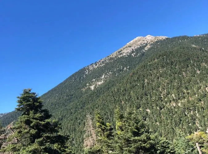 Landsted Villazia The Highest *